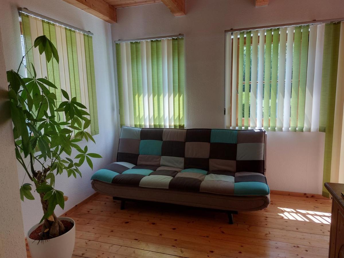 Grimmingapartment Maier Stainach エクステリア 写真